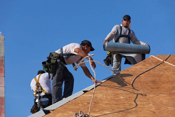 Best Shingle Roofing Installation  in Evanston, IL
